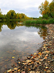 photo "Untitled photo"