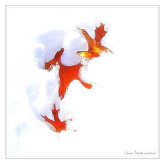 photo "Three"