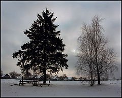 photo "9-00"