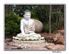 photo "Zu Lai Temple - Buddha"