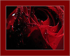 photo "tears ..."