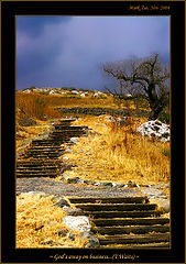 photo "~ God`s Away on business ~ (clr edition)"