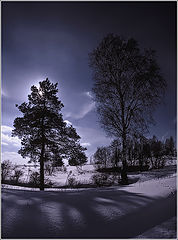 photo "Spring mood"