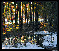 photo "Not for long to wait already remains."