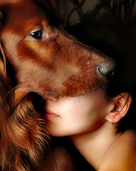 photo "tenderness"