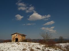 фото "Untitled"