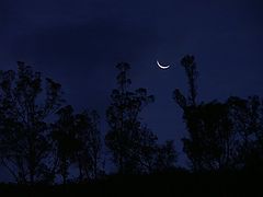 photo "Sleep time"