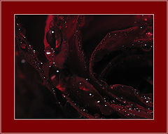 photo "tears ... 2"
