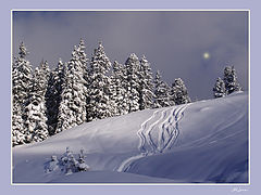 photo "Before snowfall"