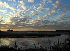 фото "Morning"