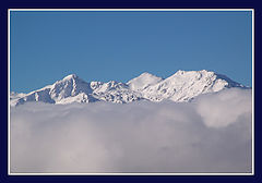 photo "After snowfall"