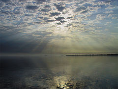 фото "Morning"