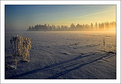 photo "Morning landscape"