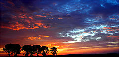 photo "Sunrise"