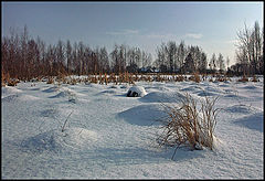 photo "10-00"
