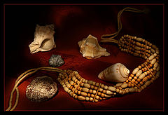 photo "still life..."