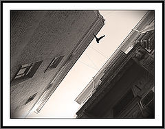 photo "Lane"