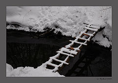 photo "Still Water"