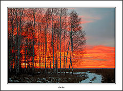 photo "Red Sky"