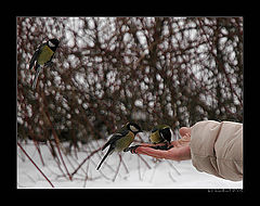 photo "Just a second!"