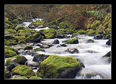 photo "river of no return"