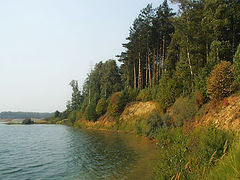 photo "Gzhel"
