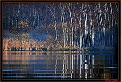 фото "De Maten 2 Genk Belgium"