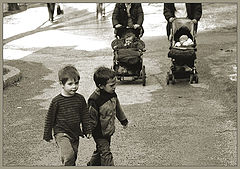 photo "friends"