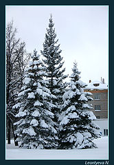 photo "Three sisters"