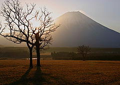 фото "Mountain with Tree and Sun"