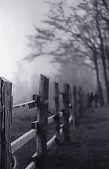 photo "Lovers..."