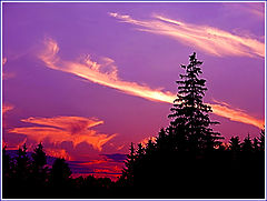 photo "Untitled photo"