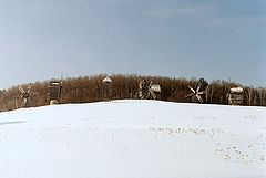 photo "the Mill Family"