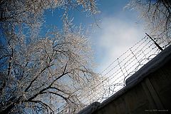 photo "Russia"