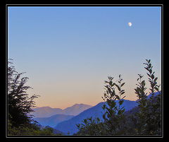 photo "Still evening moon"