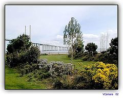 фото "Gardens"