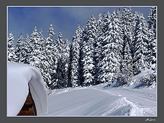 photo "Last time about winter"