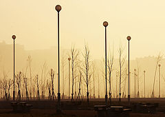 photo "Morning"