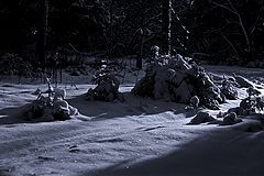 фото "Свет и тень 3"