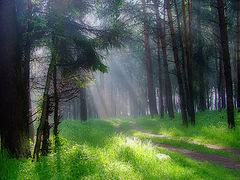 photo "summerwaitin`"