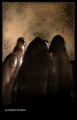 photo "Doomed ghosts of the winter"