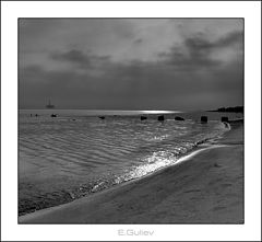 фото "Moonlight"