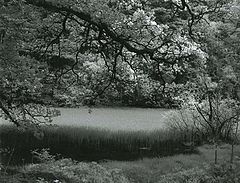 photo "The Lake"
