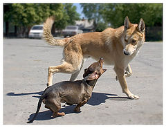 photo "get outta here !"