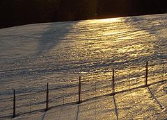 photo "Light-path..."