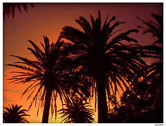 photo "End of a hot summer day"