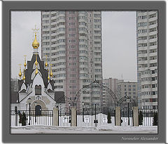 фото "Продолжение жизни"