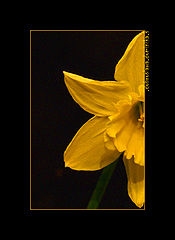 фото ".the.sun"