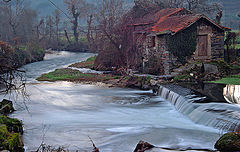 фото "Winter colors"