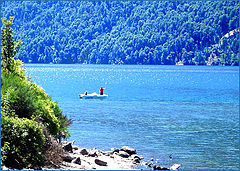 photo "fishing the bright..."